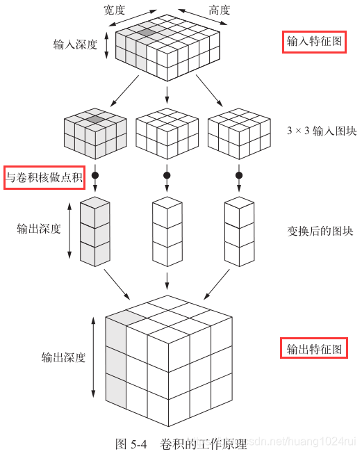 《Python深度学习》第五章-1（CNN简介）读书笔记