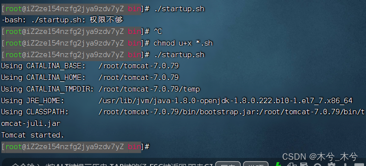 -bash: ./startup.sh: Permission denied解决