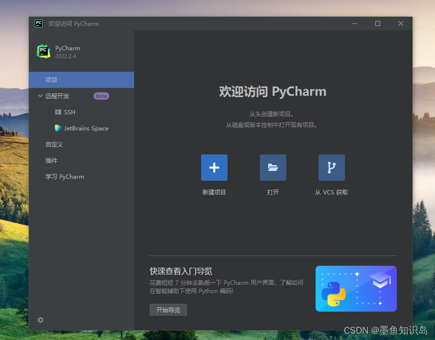 pycharm怎么改成中文（详细版）