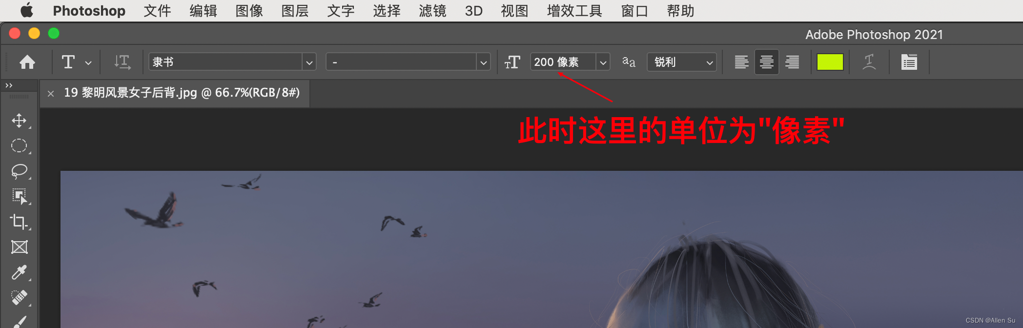 【Photoshop 教程系列第 2 篇】如何将 PS 中字体单位由点改为像素