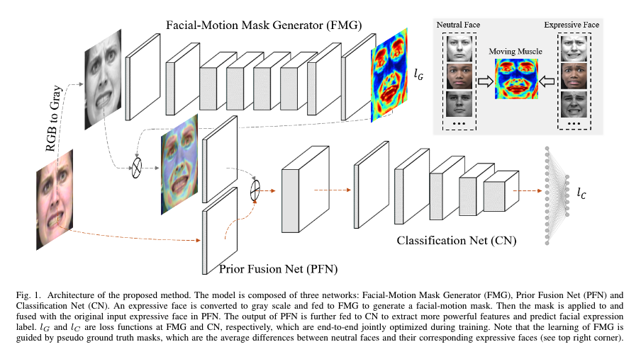 【论文阅读】Facial Motion Prior Networks forFacial Expression Recognition