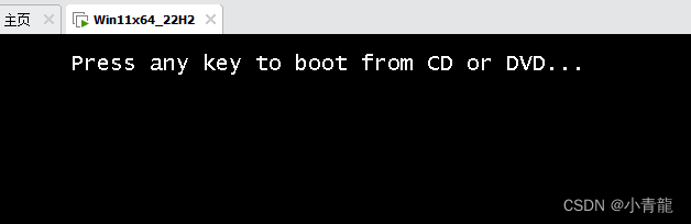 press any key to boot from CD or DVD..