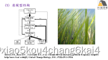 结构方程模型（SEM）在生态学领域中的实践