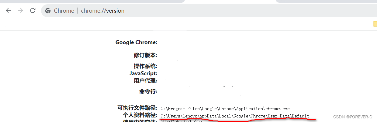 Chrome如何安装插件(文件夹)