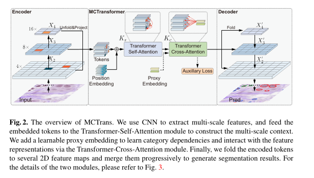 [Transformer]MCTrans：Multi-Compound Transformer for Accurate Biomedical ...