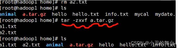 在这里插入图片描述