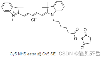 CY5-N-羟基琥珀酰亚胺 Cyanine5 NHS ester 荧光量子产率