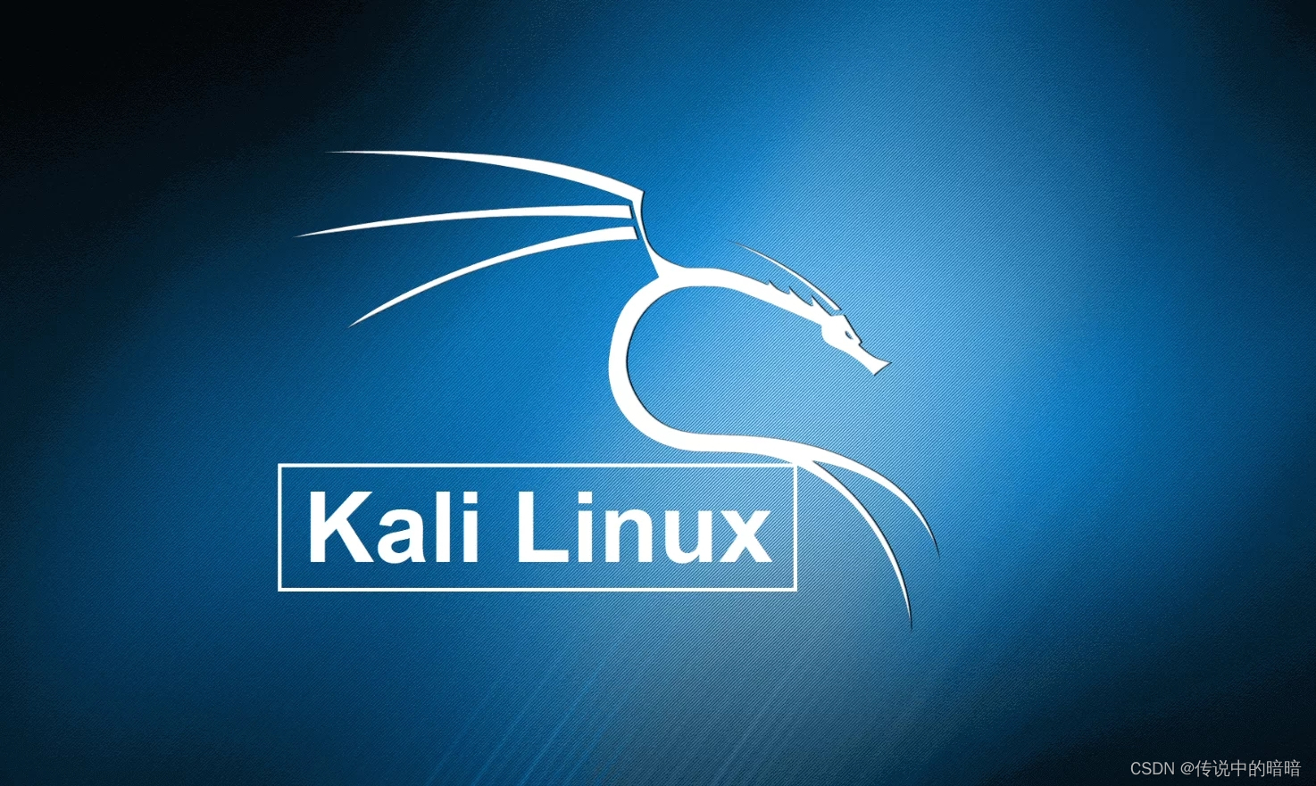 Unique Identifiers of a Fresh Kali Image - The Signal Chief