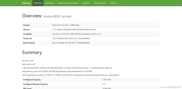 Hadoop 完全分布式搭建（超详细）_hadoop完全分布式搭建