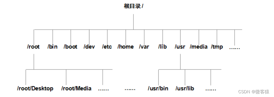 image-20220823152342269