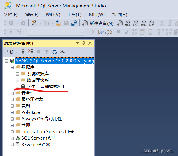 SQL Server详细使用教程(包含启动SQL server服务、建立数据库、建表的详细操作) 非常适合初学者