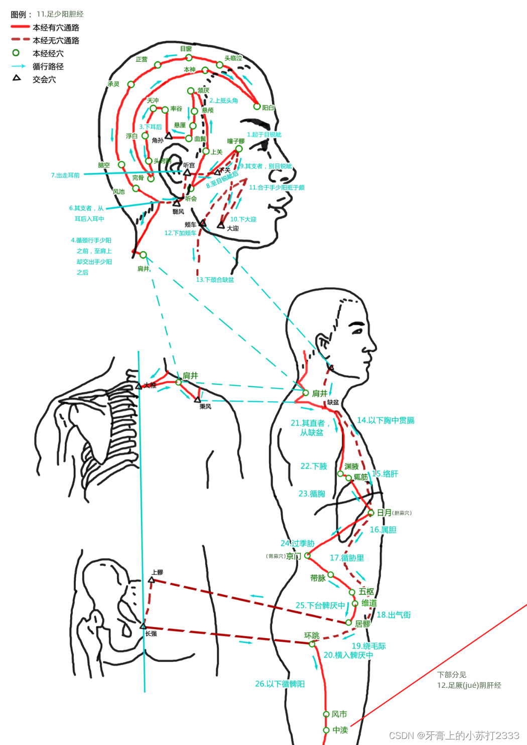 请添加图片描述