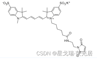 Sulfo-CY5 maleimide的优势和局限性-星戈瑞