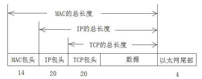 使用Python构造数据包