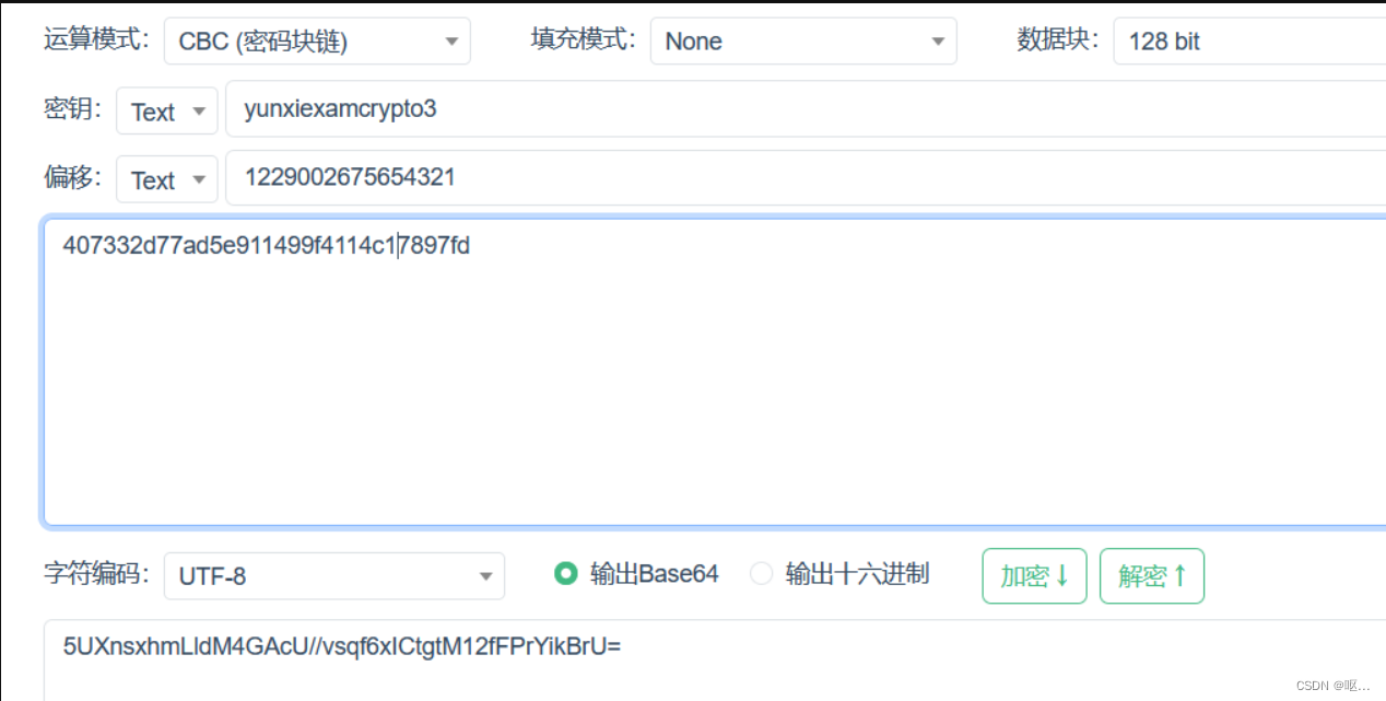 23秋季学期期中考核（密码题）