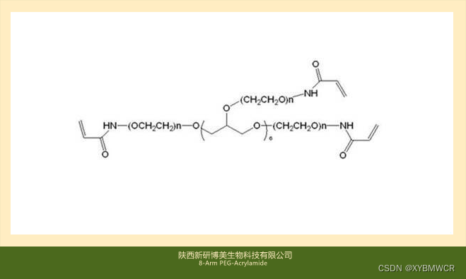 8-Arm PEG-ACA，8-Arm PEG-Acrylamide，八臂-聚乙二醇-丙烯酰胺可用于自由基引发剂