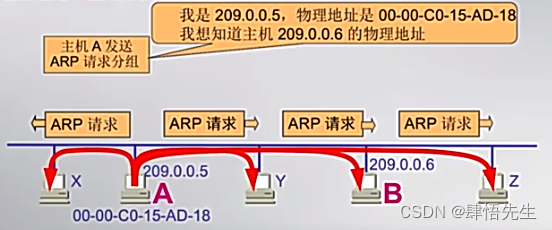 ARP请求分组