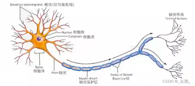 ここに画像の説明を挿入