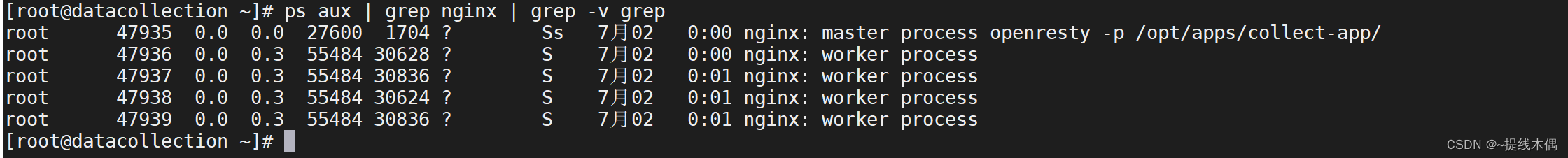 linux使用grep命令查询nginx的进程情况时总是出现 grep --color=auto nginx