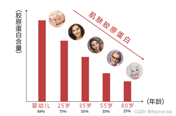 四肽-21——改善皮肤紧实感、光滑感和弹性