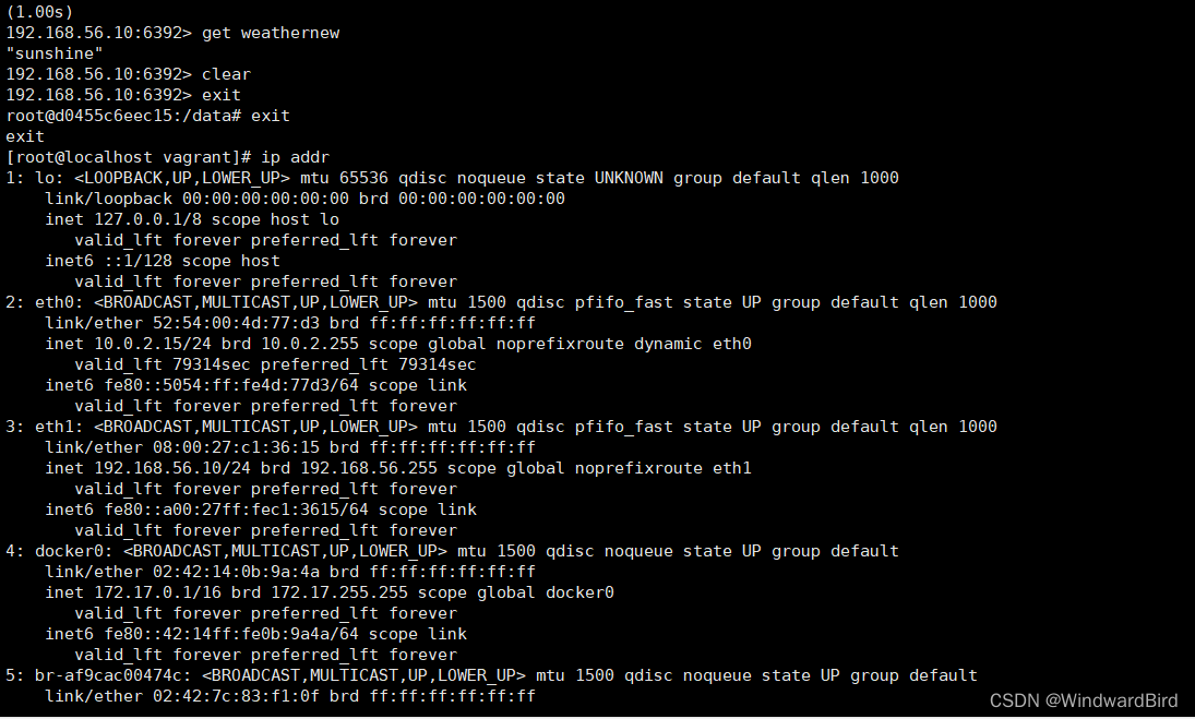 vm ip info