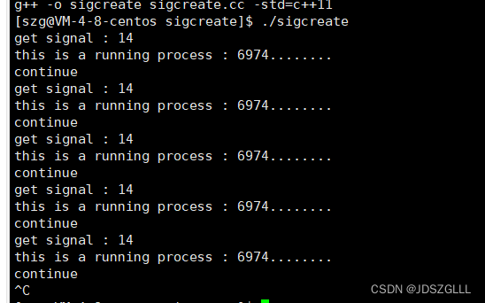 Linux：进程信号