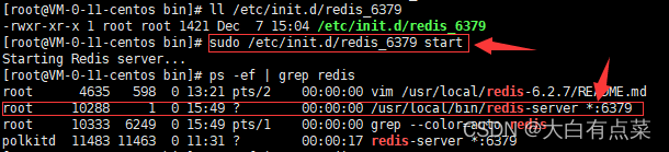 redis_6379 初始化脚本文件执行启动（start）2