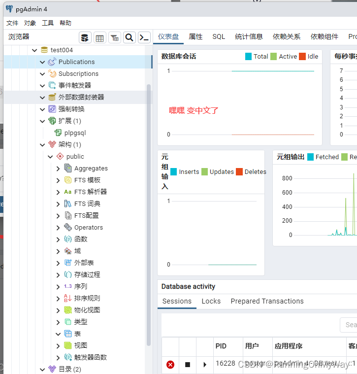 pgAdmin中文界面