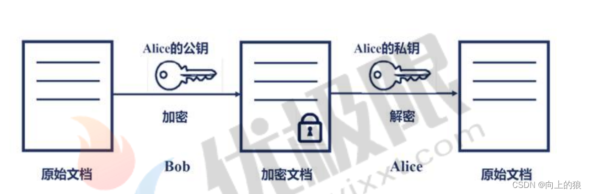 Linux的网络信息详解