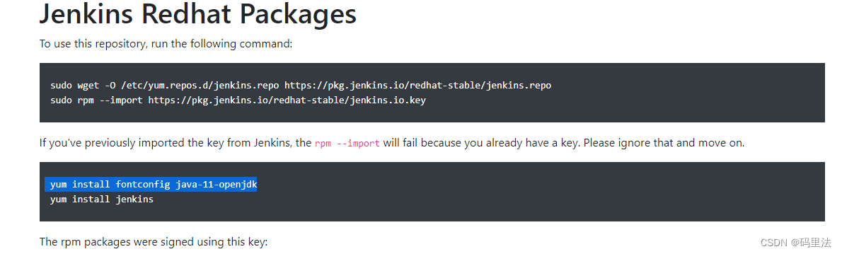 [Jenkins] Failed to start Jenkins Continuous Integration Server