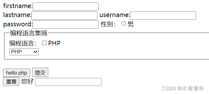 html学习5(表单)