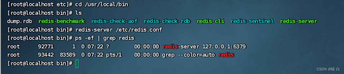 redis-server/myredis/redis.conf