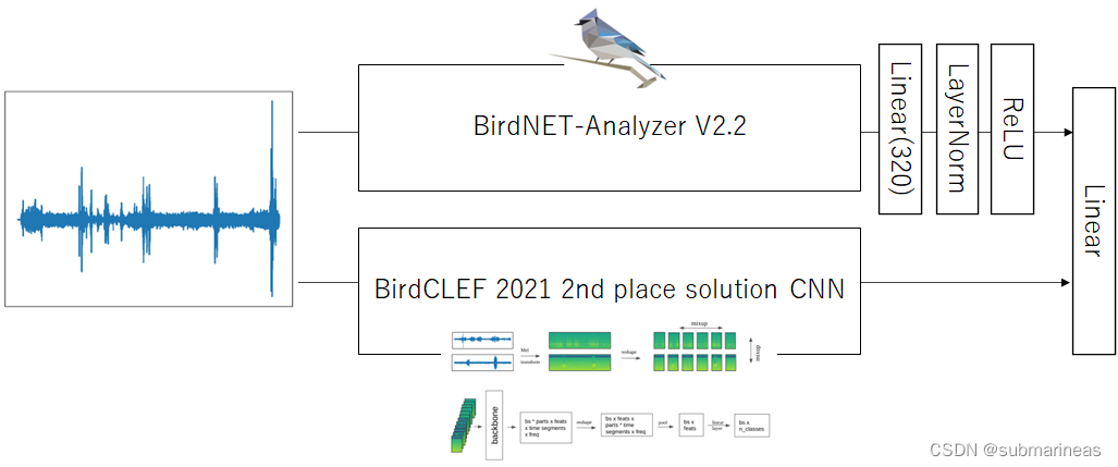 bird 2023 比赛总结