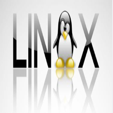 实验一 Linux中ubuntu安装及shell命令 小张会学好英语的博客 Csdn博客 Ubuntu安装shell 实验一 Linux中ubuntu安装及shell命令 小张会学好英语的博客 Csdn博客 Ubuntu安装shell
