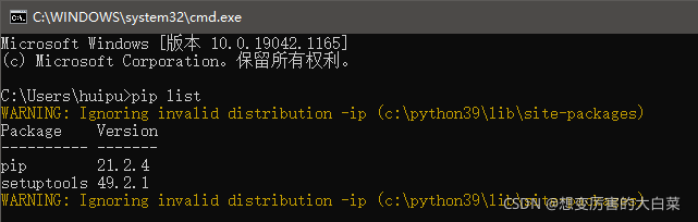 【Python】WARNING: Ignoring invalid distribution -ip (c:\python39\lib ...