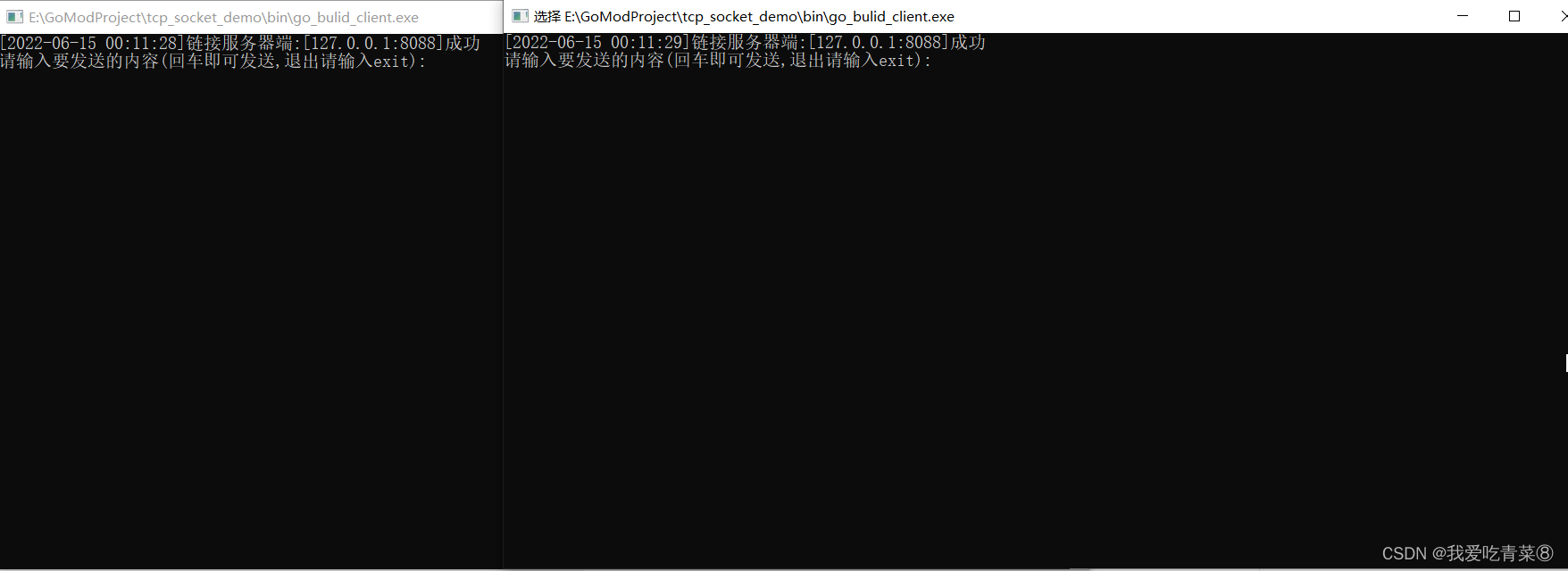 Golang tcp socket编程案例_go 设置tcp连接端口CSDN博客