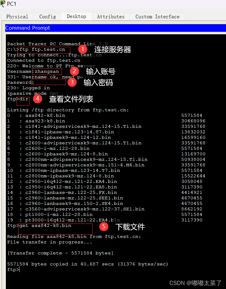 【Cisco Packet Tracer】DHCP/FTP/WEB/DNS实验