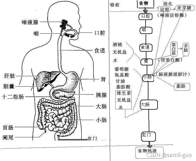 请添加图片描述