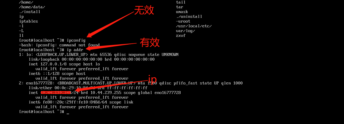 查看虚拟机vmware下linux的ip Z小菜鸡的博客 Csdn博客