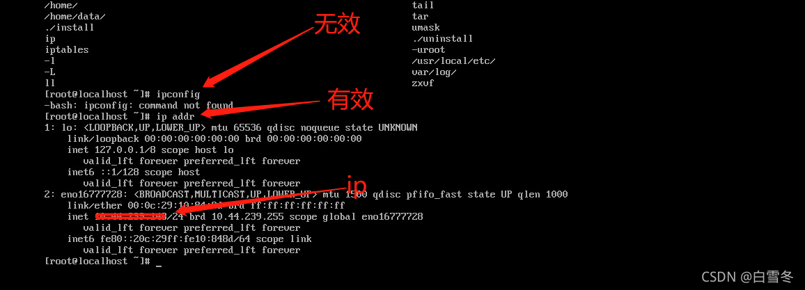 查看虚拟机vmware下linux的ip Z小菜鸡的博客 Csdn博客 查看虚拟机vmware下linux的ip Z小菜鸡的博客 Csdn博客