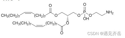 DOPE修饰岩藻多糖 Fucoidan-DOPE 岩藻多糖-二油酰基磷脂酰乙醇胺