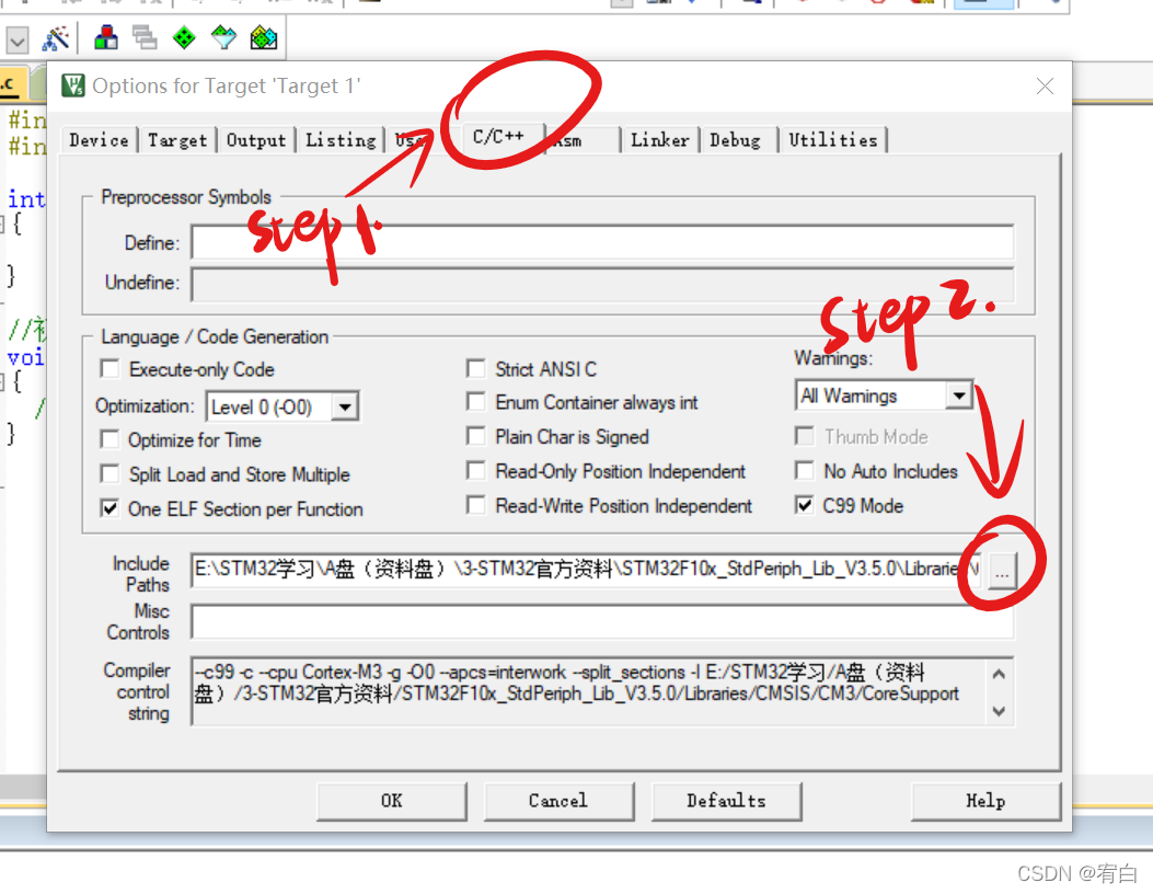 先点击c/c++，然后点击图中指的step2