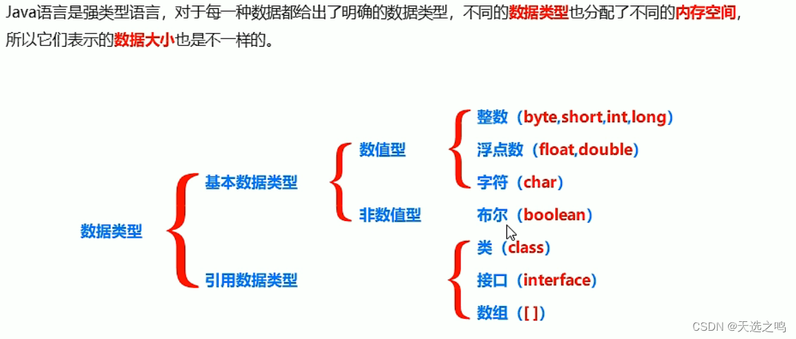 数据类型