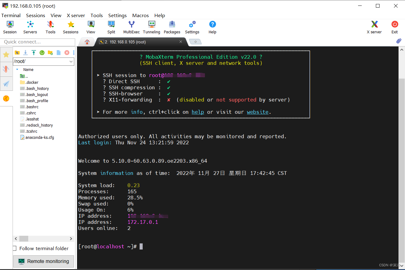 虚拟机安装openEuler/MobaXterm工具登录系统