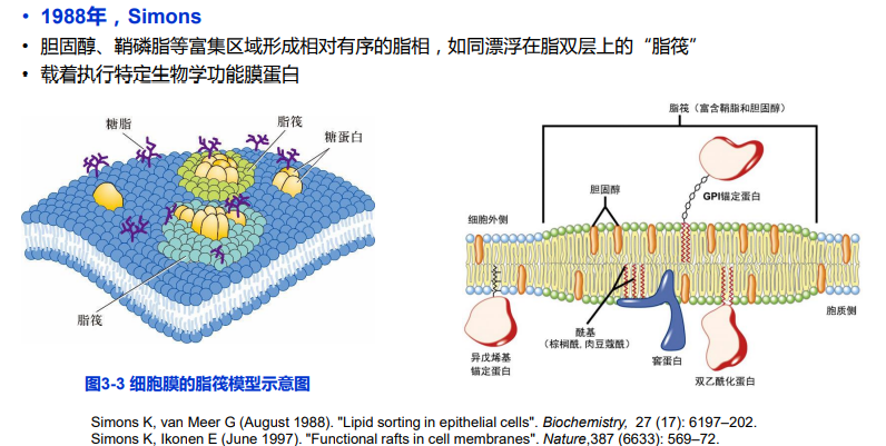 细胞生物学