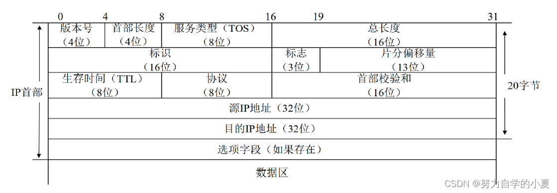 IP数据的示意图