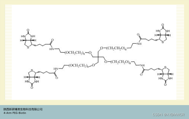 4-Arm PEG-Biotin,4-Arm peg-Biotin,四臂-聚乙二醇-生物素科研试剂供应