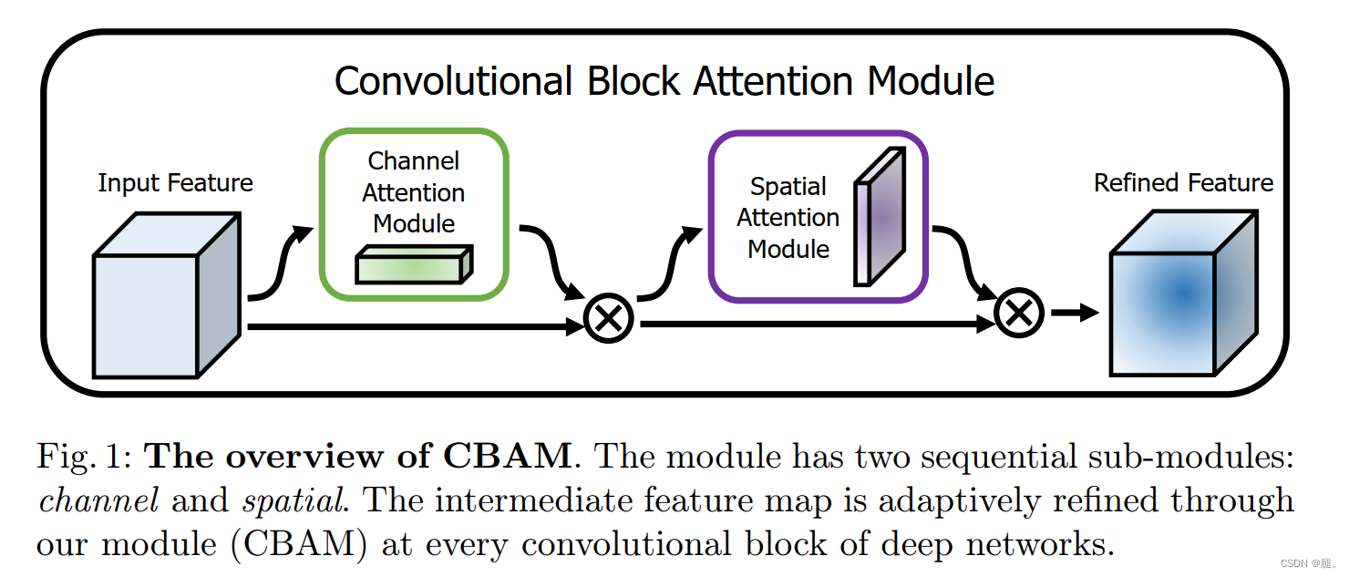 常用的即插即用的注意力机制模块（SE、CBAM）