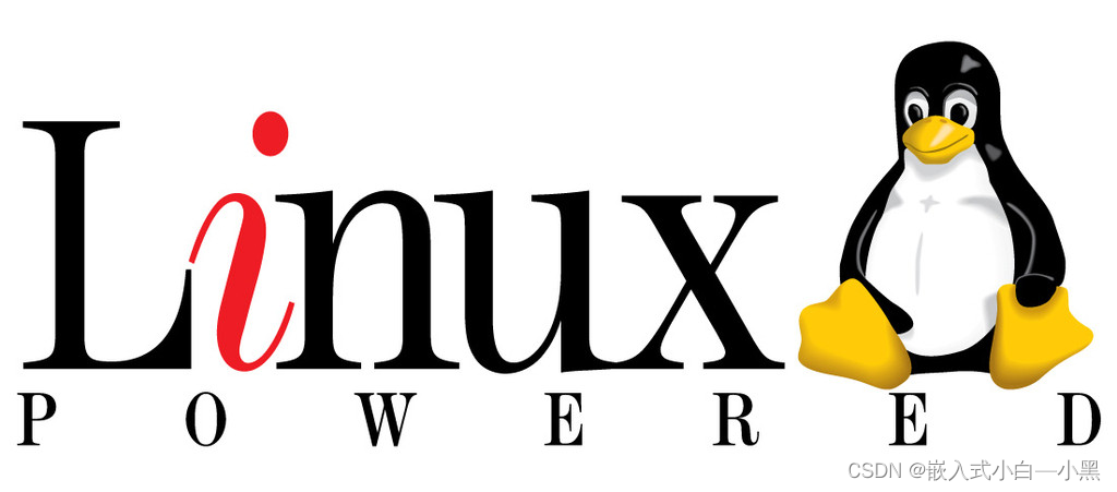 【Linux操作系统】深入理解Linux系统编程中的传入参数、传出参数和传入传出参数