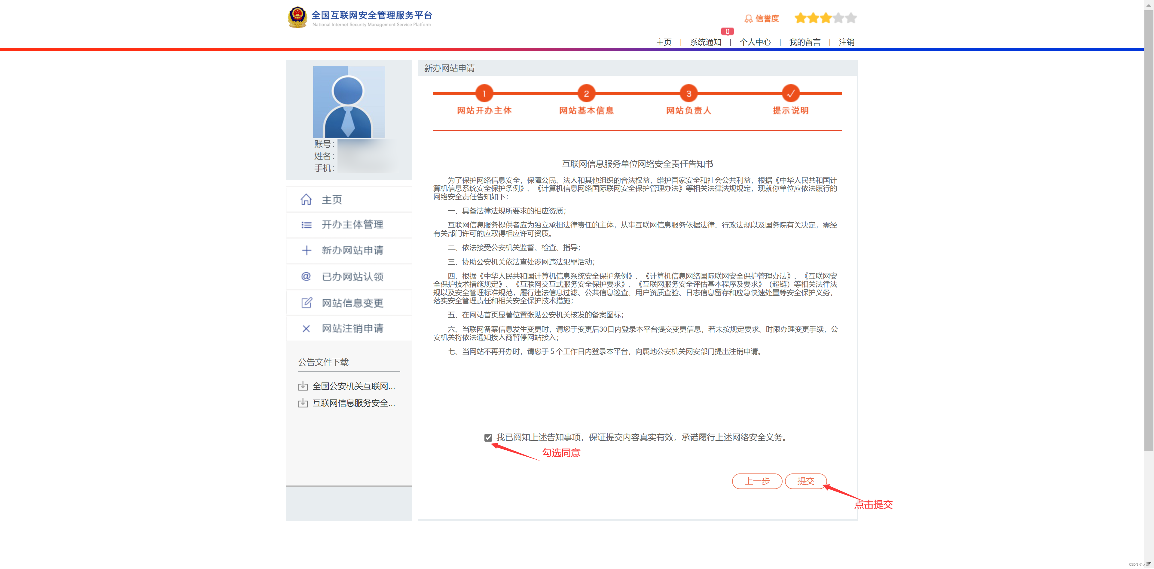 公安备案提交审核